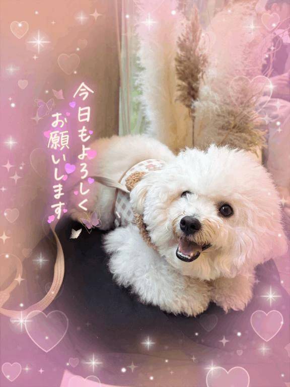 お誘いありがとうございました😌💕
