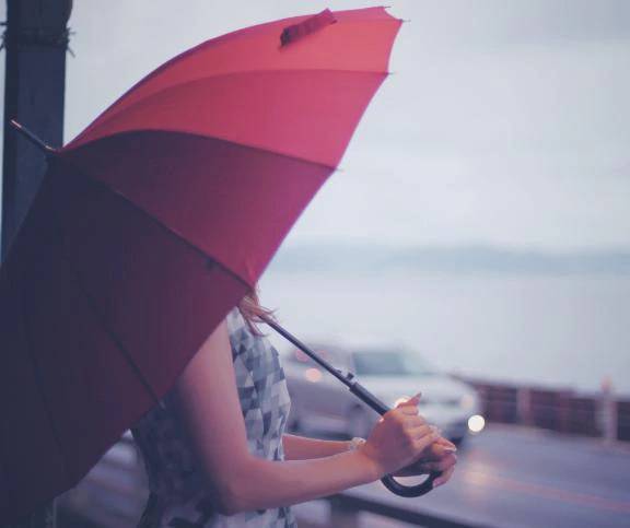 雨の日も☔