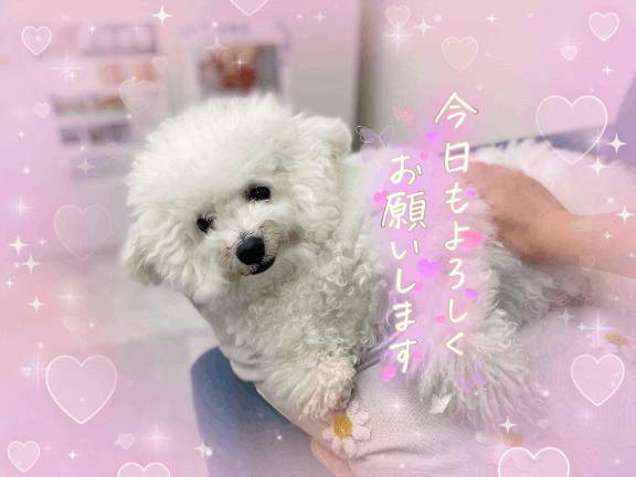 おはようございます😌💕