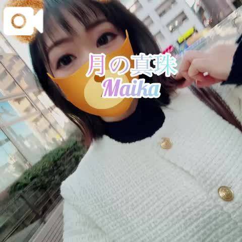 🌸今日のトコトコ🐾🌸