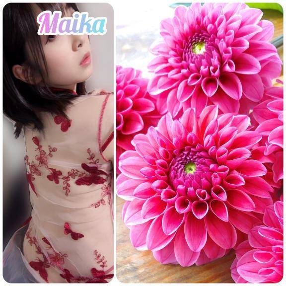 🌸 好きな花 🌸