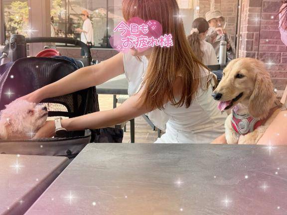 本日も完売ありがとう//♡