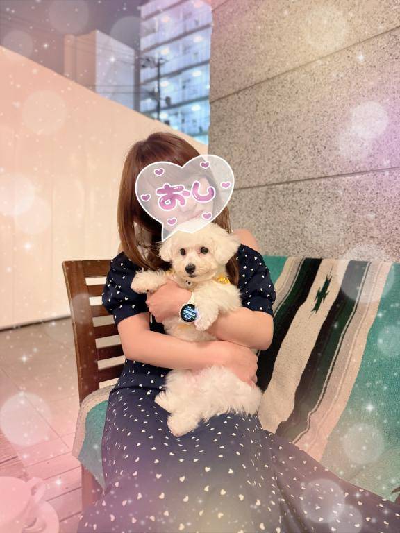 本日も予定通りに出勤します//♡