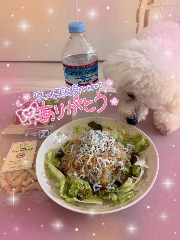 🈵本日完売となります🈵