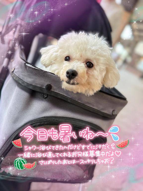 次回の案内は//♡