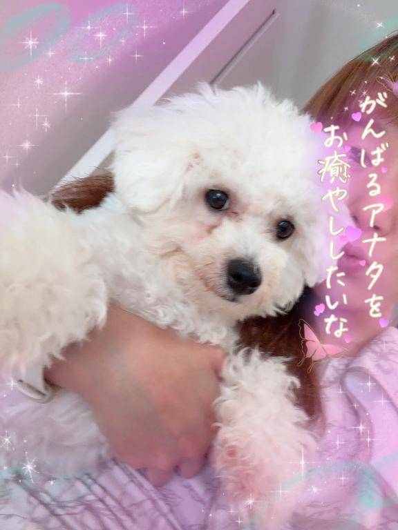 午後の♡素敵な時間に//♡