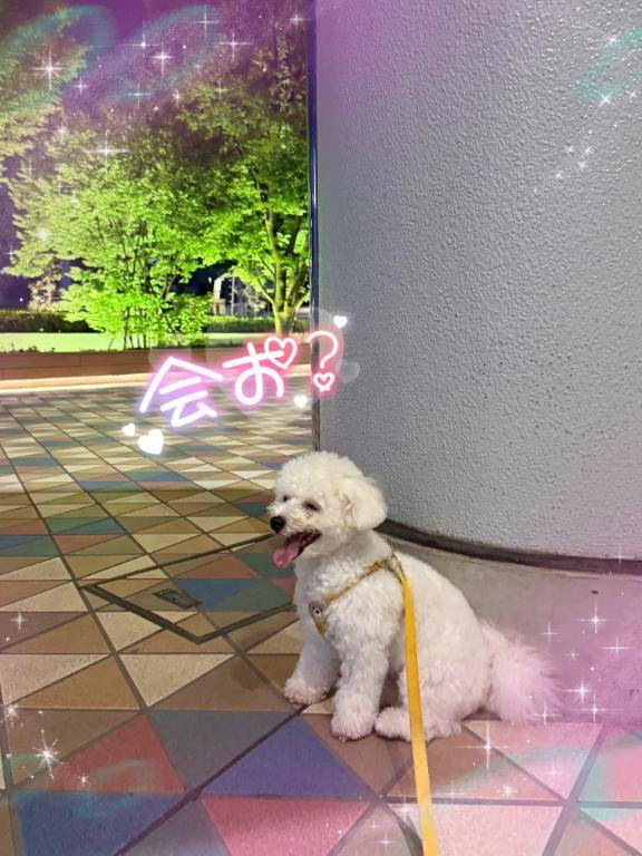 奇跡のパチり📸