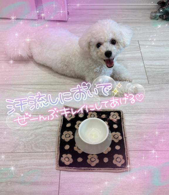 昨日は完売ありがとうございました//♡