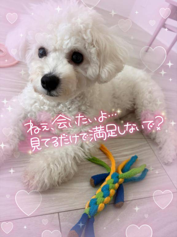 14:00まで空きになりました☺️💖