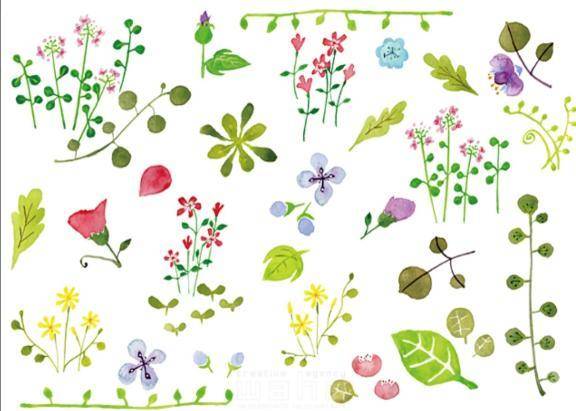 8/9(土曜日)10:30歌舞伎町待ち合わせのお兄さま✍️