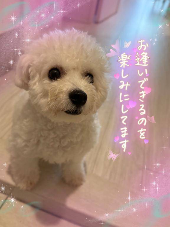 明日のご予約ありがとうございます//♡