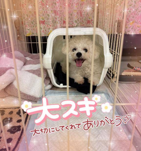 🈵🈵本日も満員御礼ありがとうございます🈵🈵