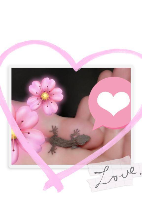 かわいい💗
