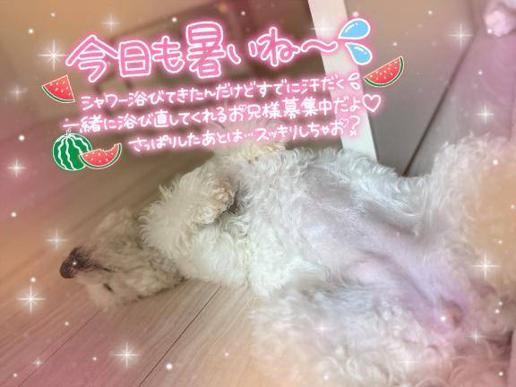 ㊙️オメコ出さないで㊙️