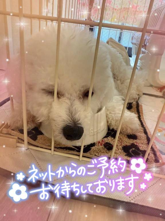 予定通りの出勤です☺️💖