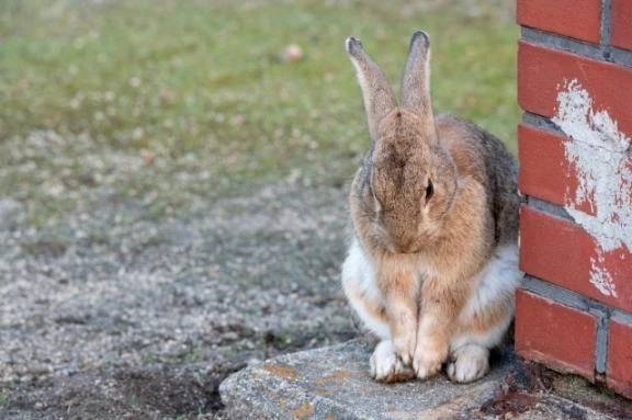 明日の出勤について