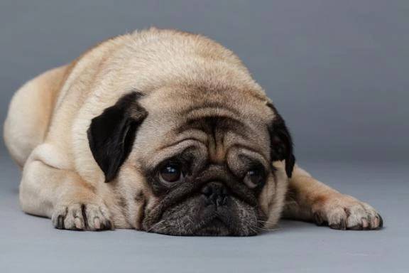 やっと回復してきました💦