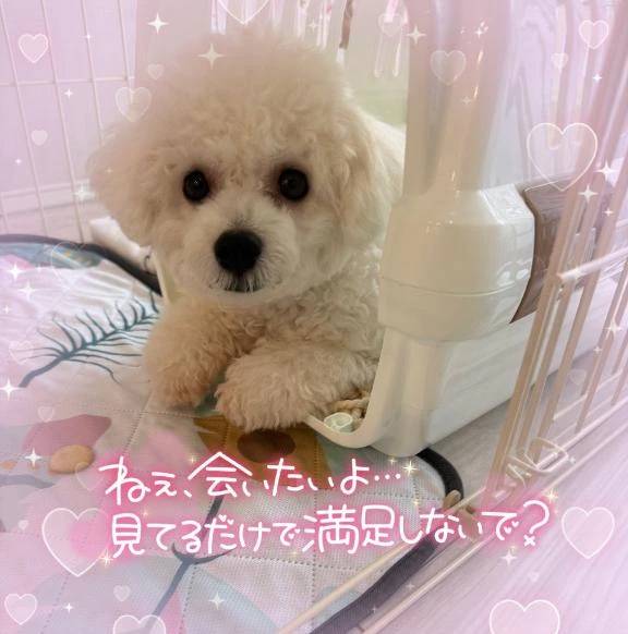 事前のご予約ゾクゾクとありがとうございます☺️💖