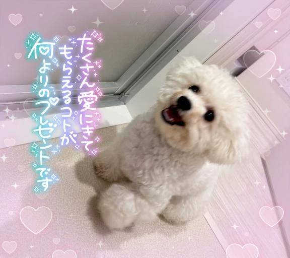 お風呂に入るときに必ずク○ニされます💋