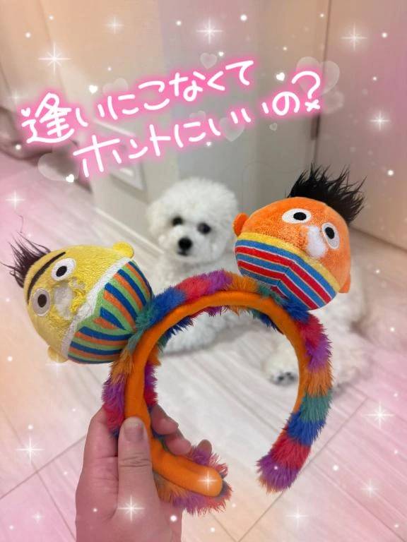 残念😂ということで🤣🤣