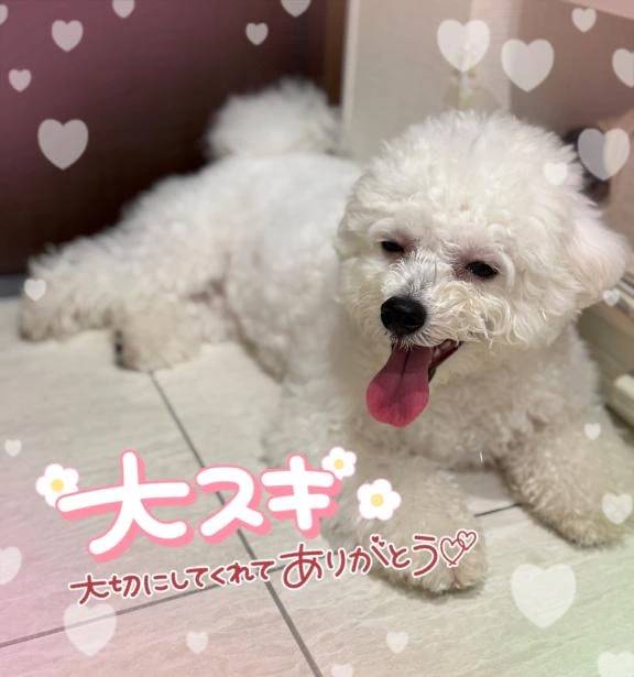 本日も受付終了しています🈵🈵