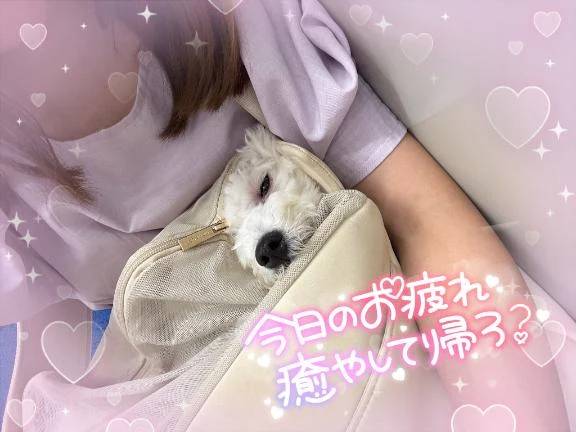夜もご予約ありがとうございました🈵🈵