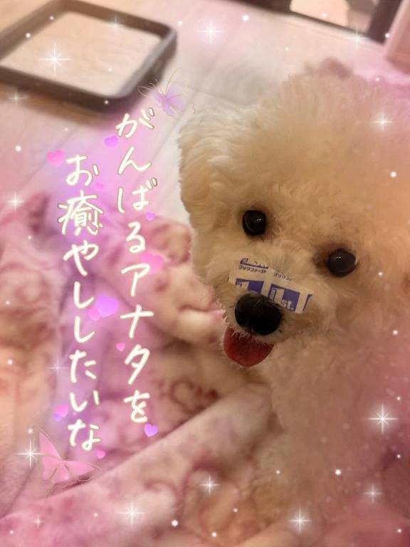 本日は事前のご予約で完売してます…♥️