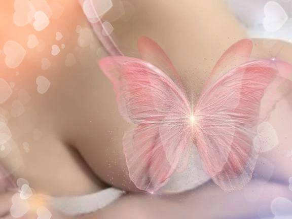 本日💗