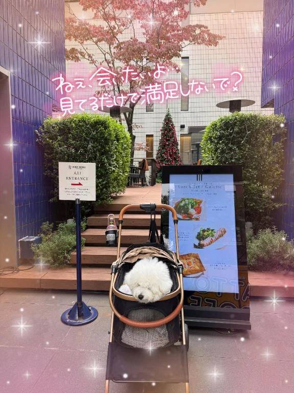 クリスマスラブ&明日出勤します…♥️