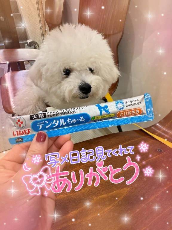 本日満員御礼となっています🈵🈵