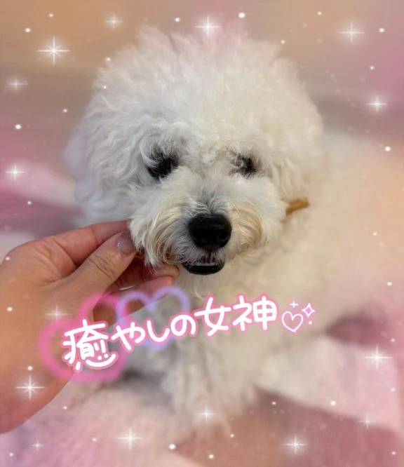 可愛い姫もいてますよ…♥️