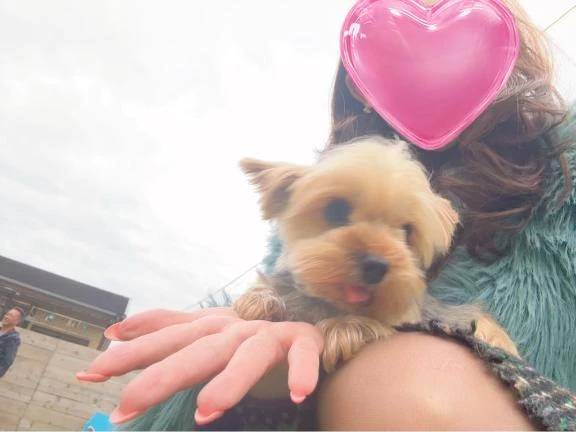 🌹エレナの休日🌹✨