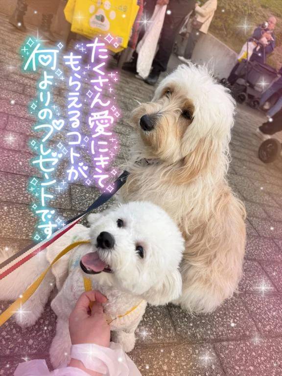 本日17:00から…♥️