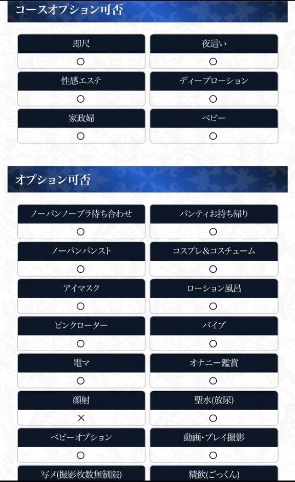 🌟オプションの可　否です🌟