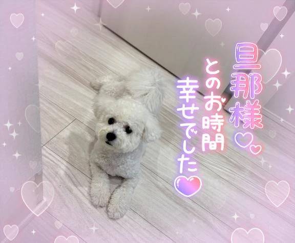 事前のご予約がオススメです…♥️