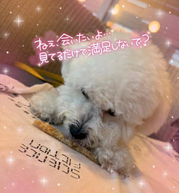 18:00から空きあります🈳🈳