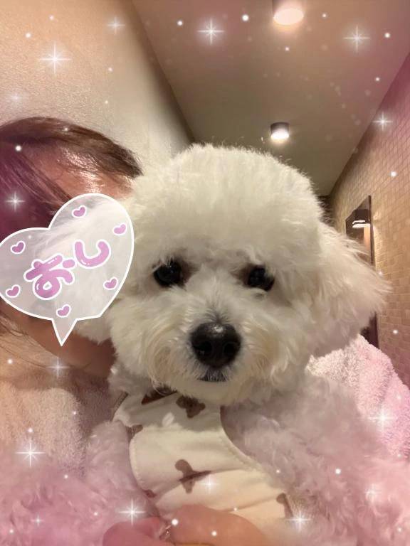 スタートからご予約ありがとうございます…♥️