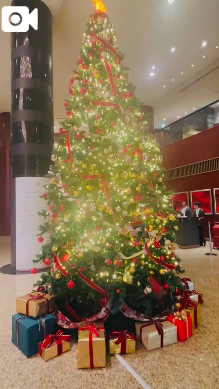 Merry Christmas 🎄🩷