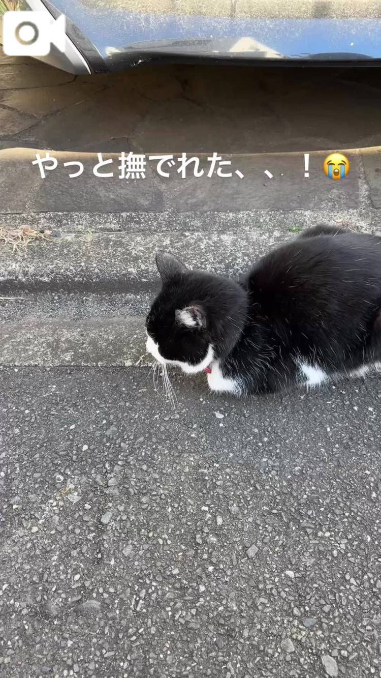 待って、今日バレンタイン？