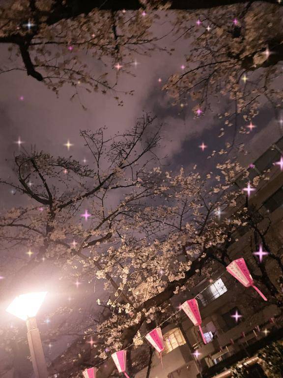 🌸🍃