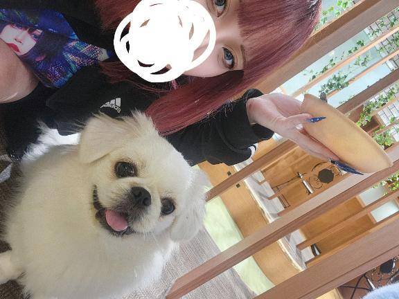 癒しが欲しい🥺