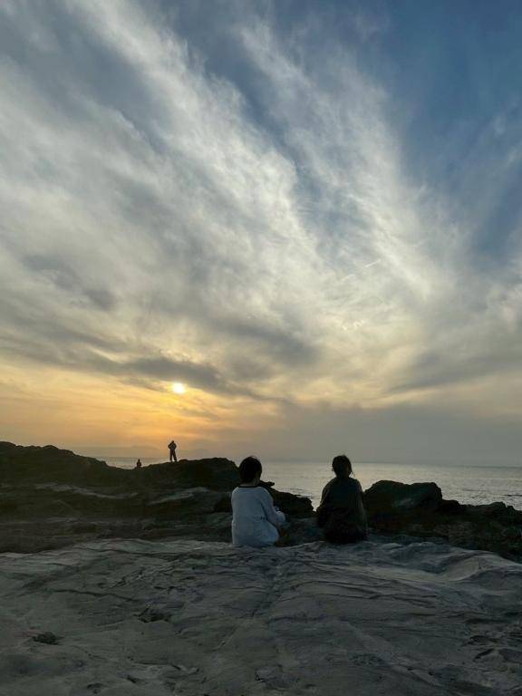 八つ当たりだわ