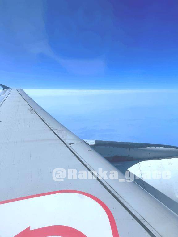【本日お休み】楽しんできます✈️