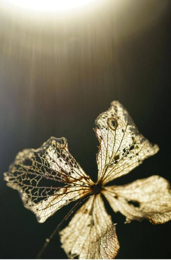 なーんか疲れました🙇‍♀️