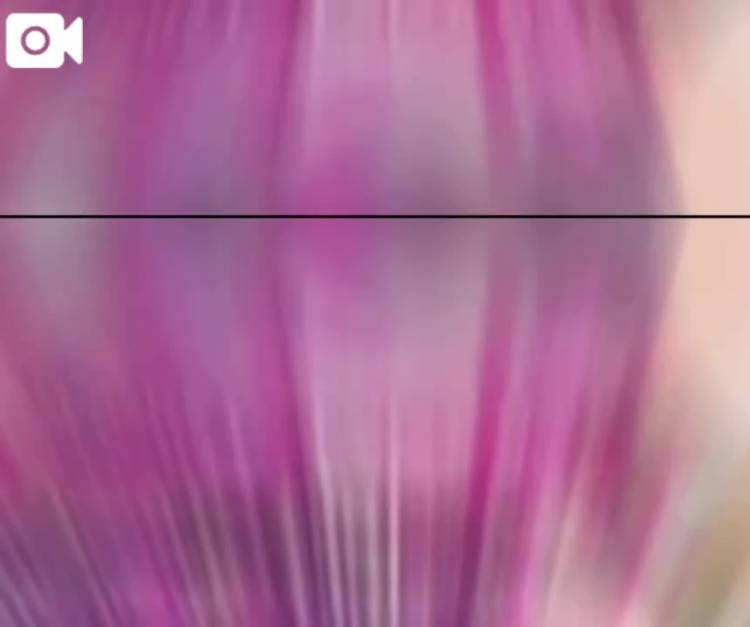 デリバリーだってイイっ😘