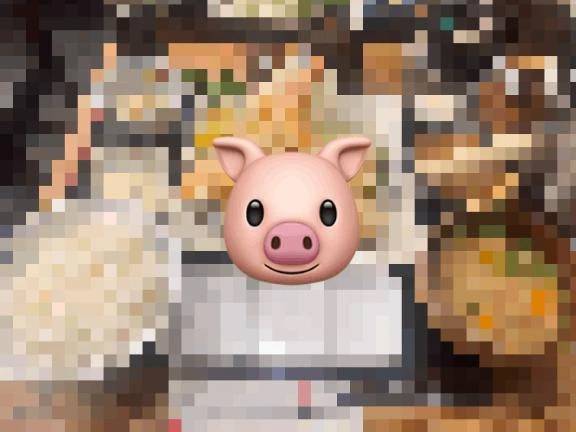 とんかつ巡り🐷