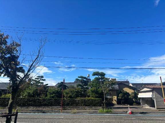 出張