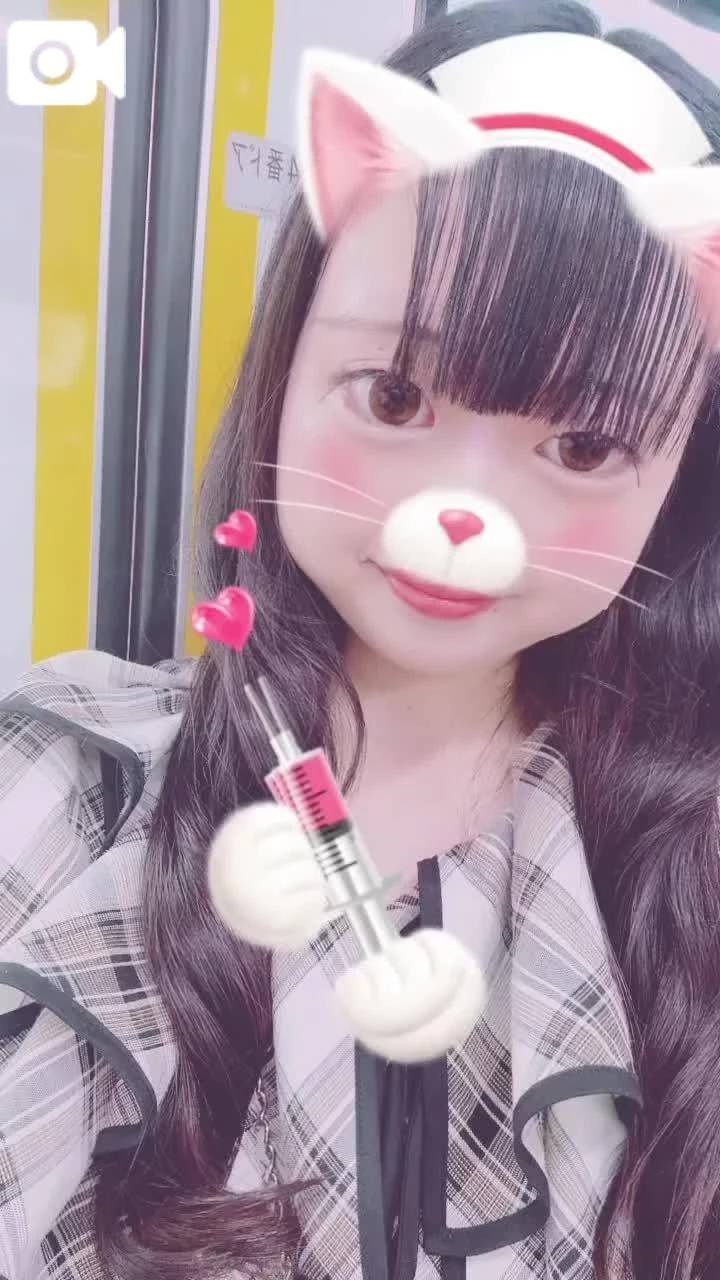 にこにこ( ᎔˘꒳˘᎔)