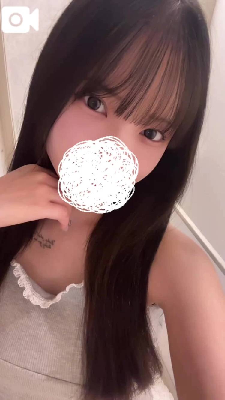 本日🌟
