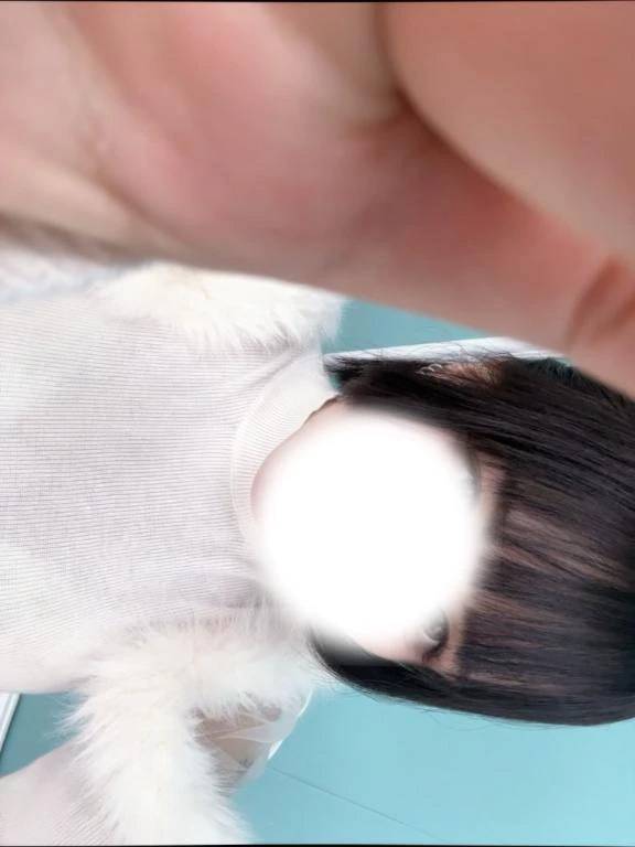 むかってます〜